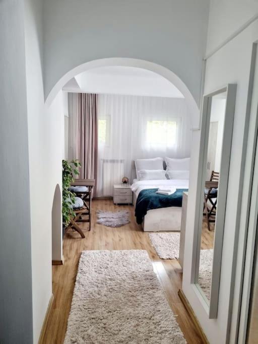 Studio Poema Ultracentral Sinaia Eksteriør billede
